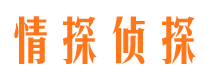 崇川市侦探公司